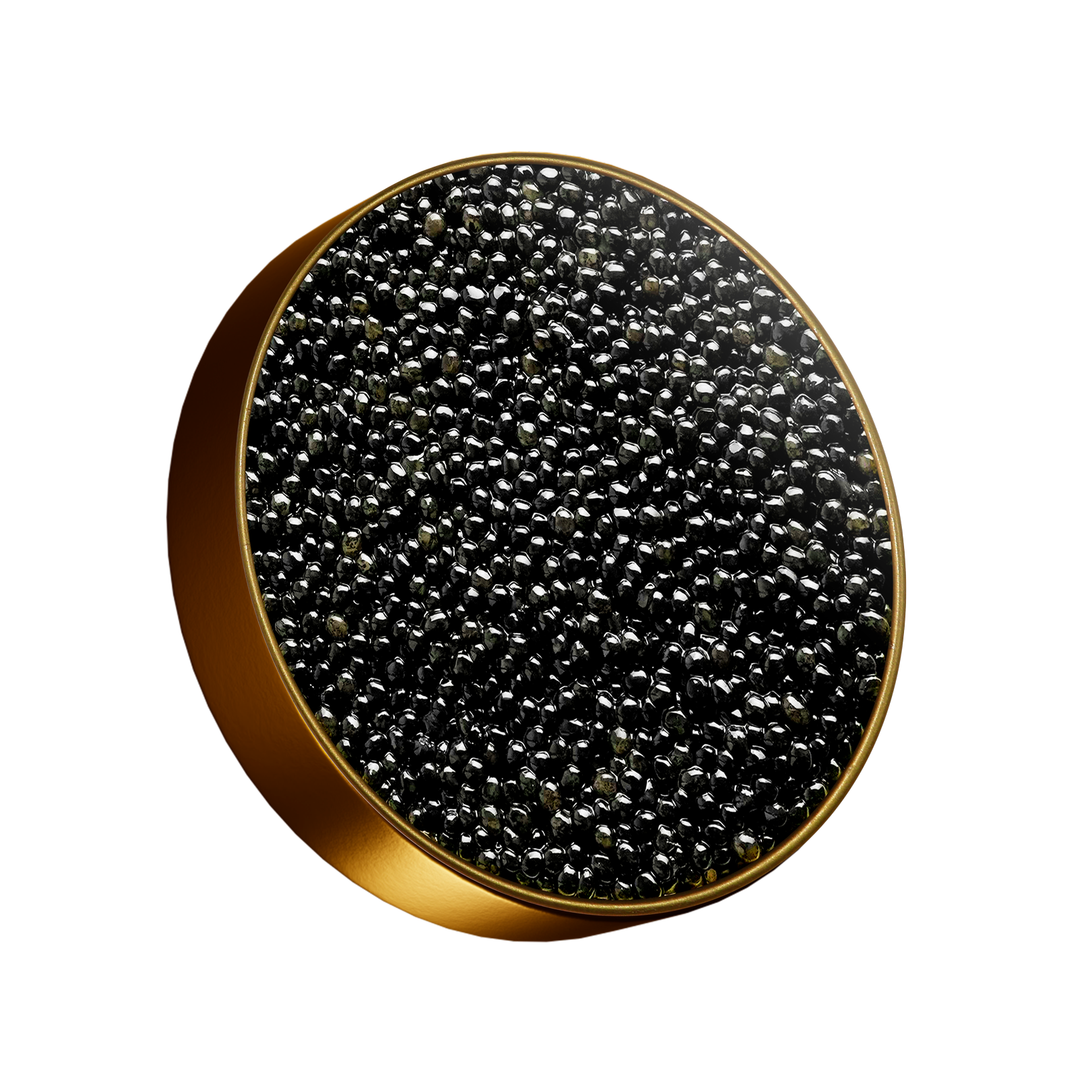 Osetra Acipenser Persicus - Premium
