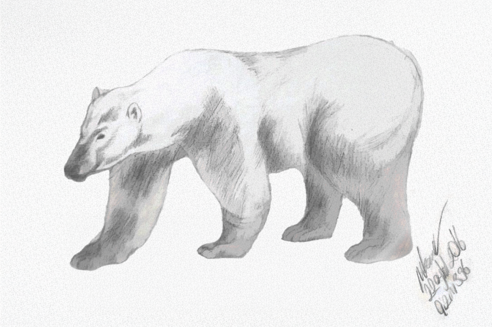 Vector digital sketch illustration 4