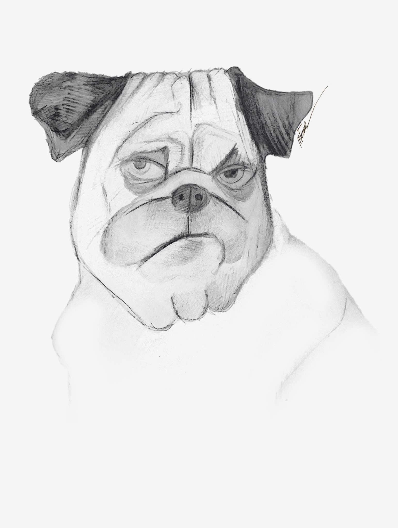 Vector digital sketch illustration 1