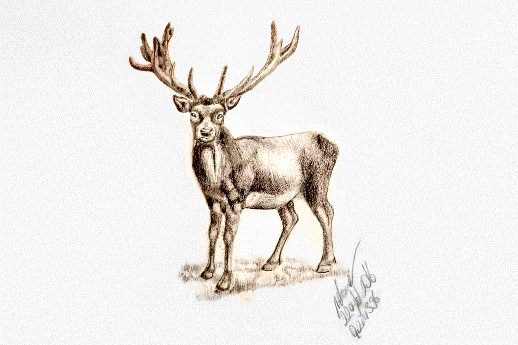 Vector digital sketch illustration 2