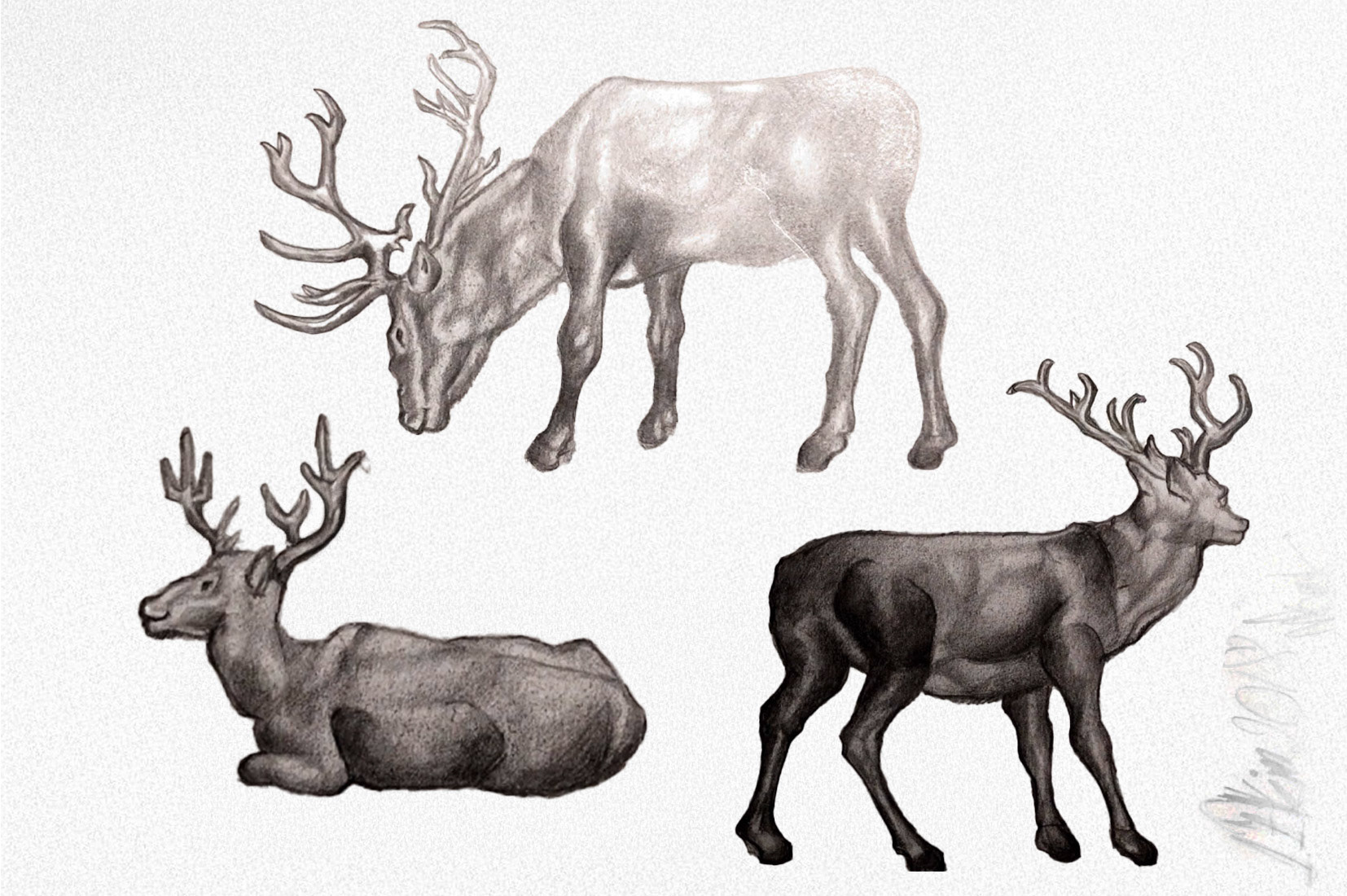 Vector digital sketch illustration 3